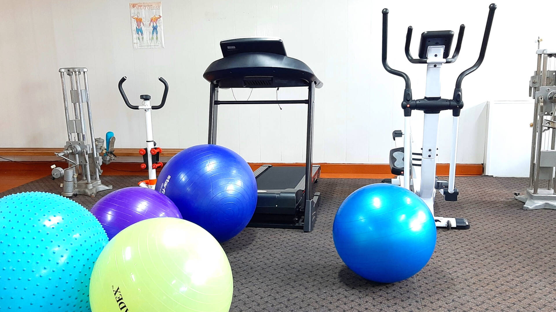 ЛФК (Лечебная физкультура)