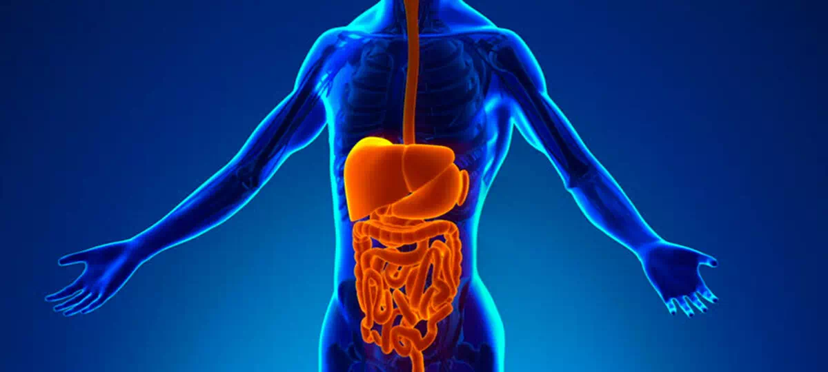 Программа при заболеваниях органов пищеварения